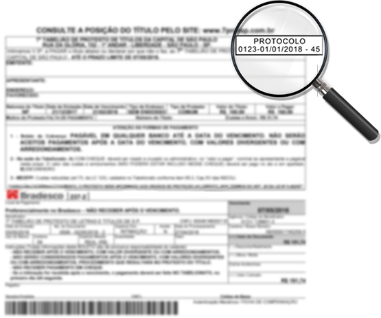 Consulta Protocolos de Protesto